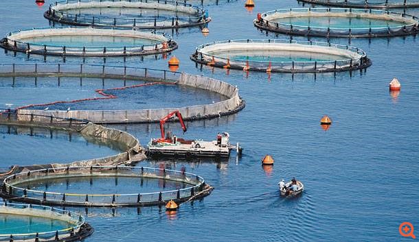 Σε ξένα funds τα ηνία της ιχθυοκαλλιέργειας