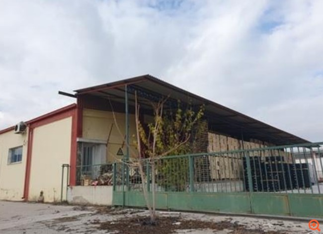 Αλλάζουν χέρια τα ακίνητα της "Ελληνικής Ρίζας"