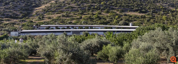 Koτόπουλα Αγγελάκης: Επενδύσεις 30 εκατομμυρίων ευρώ και στόχος να φτάσει τα 50 εκατομμύρια σε πωλήσεις