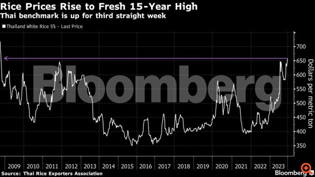 Σε υψηλό 15ετίας το ρύζι - Άνοδος 38% φέτος