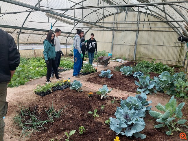 Carbon farming schools: Μαθητές γνώρισαν τη βιώσιμη γεωργία με την υποστήριξη της ΔΕΗ