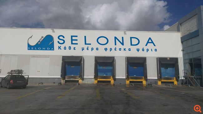 Σελοντα
