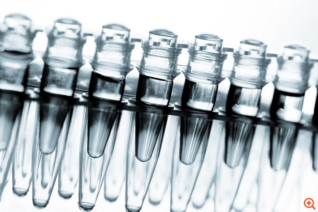 Νέα θεραπευτικά δεδομένα για τον καρκίνο του πνεύμονα