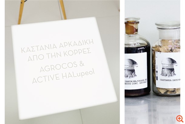 Το μυστικό της νεότητας βρέθηκε στην αρκαδική καστανιά!