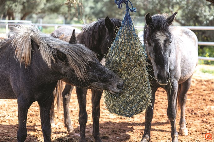 Kaizen Gaming: Υπευθυνότητα και προσφορά που αλλάζουν ζωές