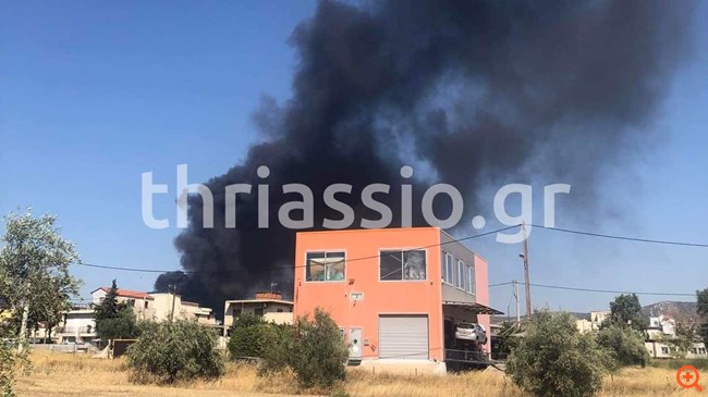 Ασπρόπυργος: Πυρκαγιά σε εργοστάσιο ανακύκλωσης - Η επέμβαση της Πυροσβεστικής εμπόδισε την επέκταση