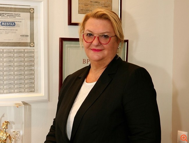Οι νικητές των επιμέρους κατηγοριών του διαγωνισμού της EY, Έλληνας "Επιχειρηματίας της Χρονιάς" 2023