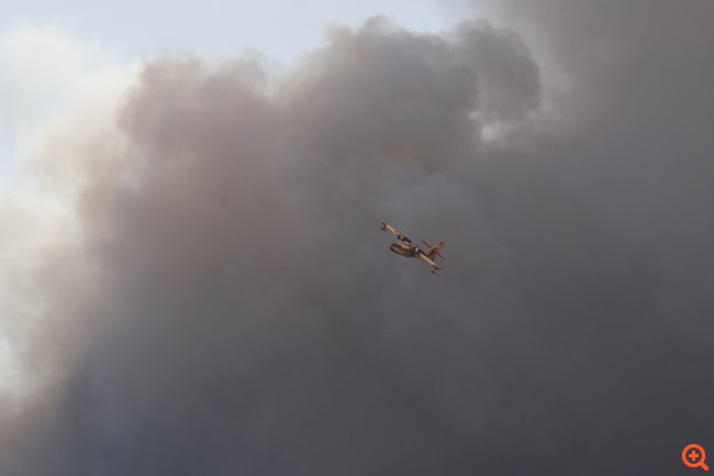 Φωτιά στον Ασπρόπυργο: Tρεις διαφορετικές εστίες - Έκλεισε η Αττική Οδός και στα δύο ρεύματα