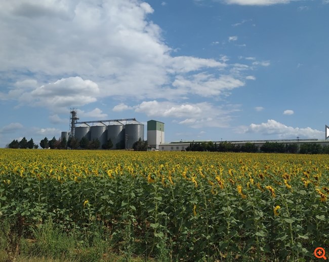 Πλειστηριασμοί: Ποια μεγάλα βιομηχανικά ακίνητα ζητούν δεύτερη ευκαιρία