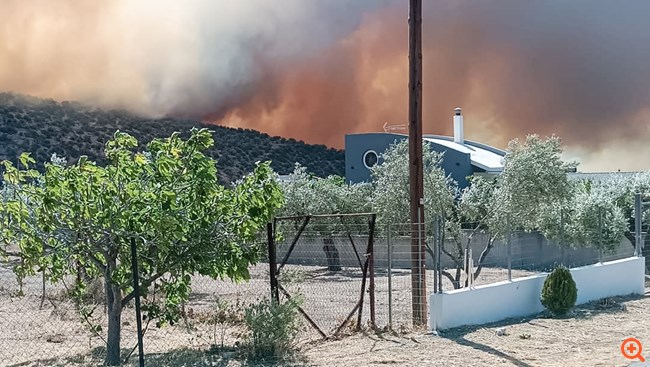 Φωτιά στη Βοιωτία: Εκκενώνονται δύο οικισμοί - Νεκρός κτηνοτρόφος από αναθυμιάσεις