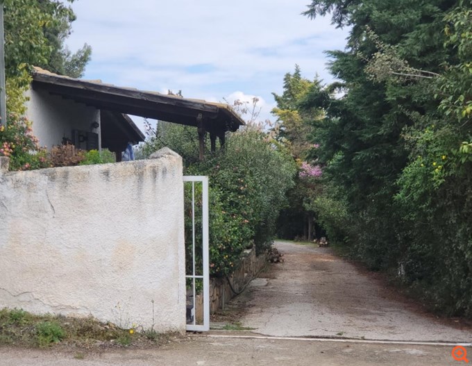 Πλειστηριασμοί  Τσαντίλη