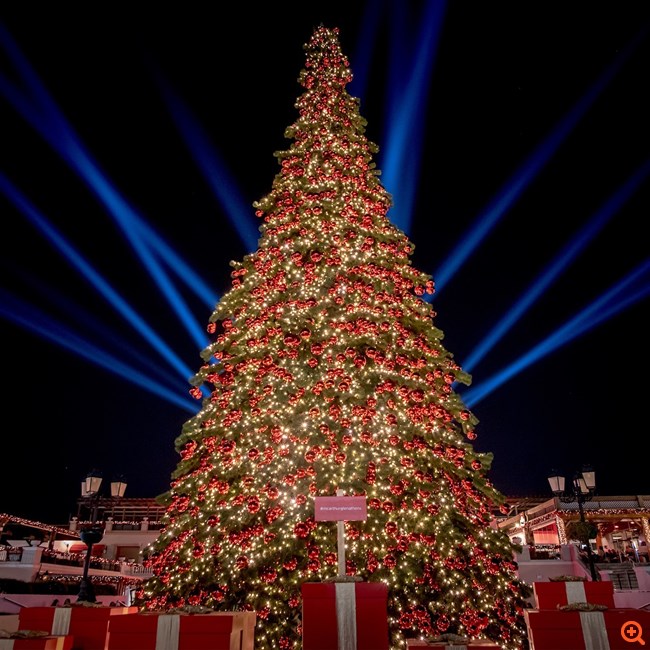 It’s the most wonderful time of the year