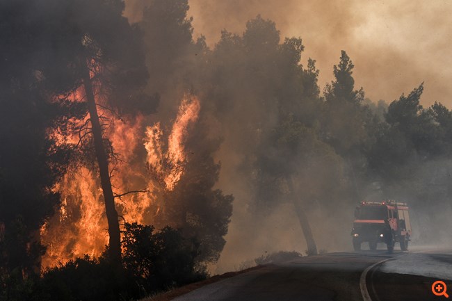 Πυρκαγιά Εύβοια 4
