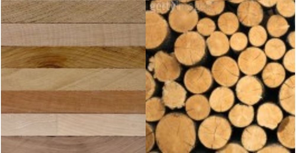 Το νέο διοικητικό συμβούλιο της Interwood-Ξυλεμπορία