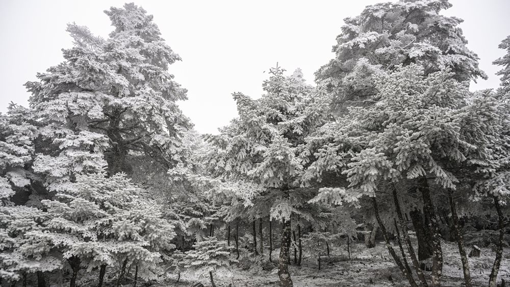 Καιρός: Πού αναμένονται χιονοπτώσεις την Τρίτη