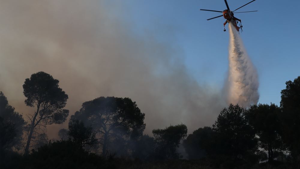 Πυρκαγιά στην Ανατολική Μάνη: Δύσκολη νύχτα, εκκενώθηκαν προληπτικά πέντε οικισμοί