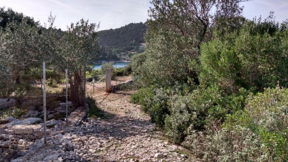Βασίλης Γκρίσιν: Η άνοδος, η πτώση και η περιπέτεια με τους πλειστηριασμούς