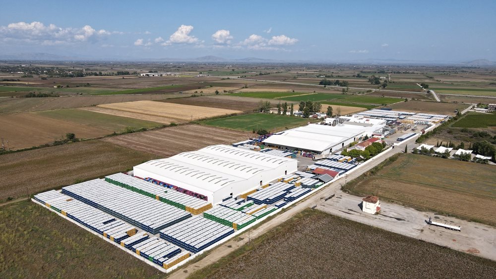 Damavand: Αύξηση του EBITDA κατά 57% στη χρήση 2023-2024