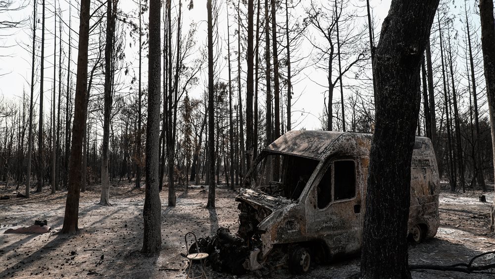 ΟΜΙΛΟΣ ΒΙΑΝΕΞ: Άμεση στήριξη για την οργανωμένη αναδάσωση της ευρύτερης περιοχής της Βαρυμπόμπης