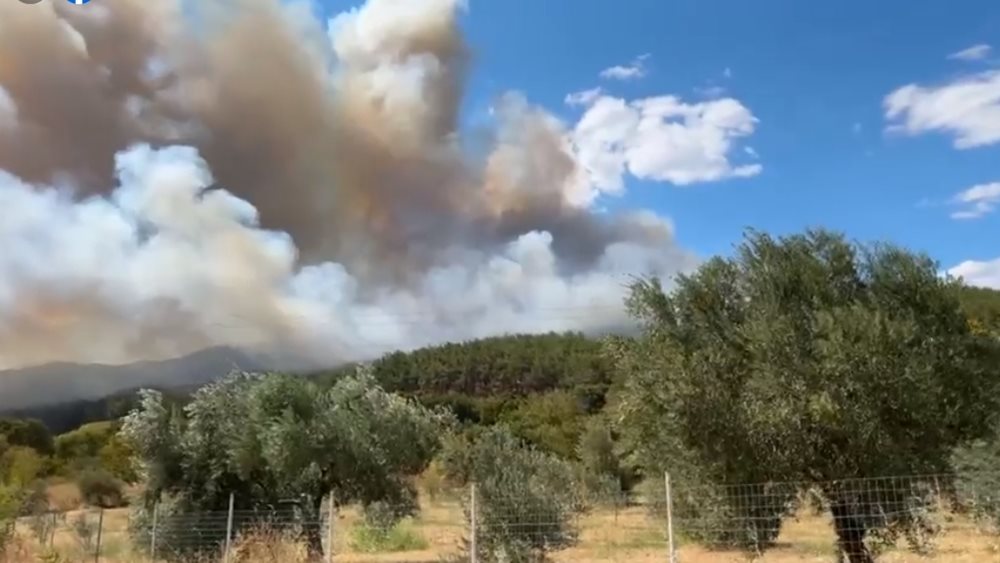 Φωτιά σε δασική έκταση στον Μίσχο Ροδόπης - Εκκενώνονται οικισμοί