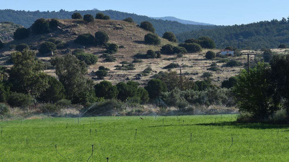 Μυτιλήνη - Παραχώρηση δημοτικής έκτασης για να ανασκαφεί και αναδειχθεί η αρχαία Αρίσβη