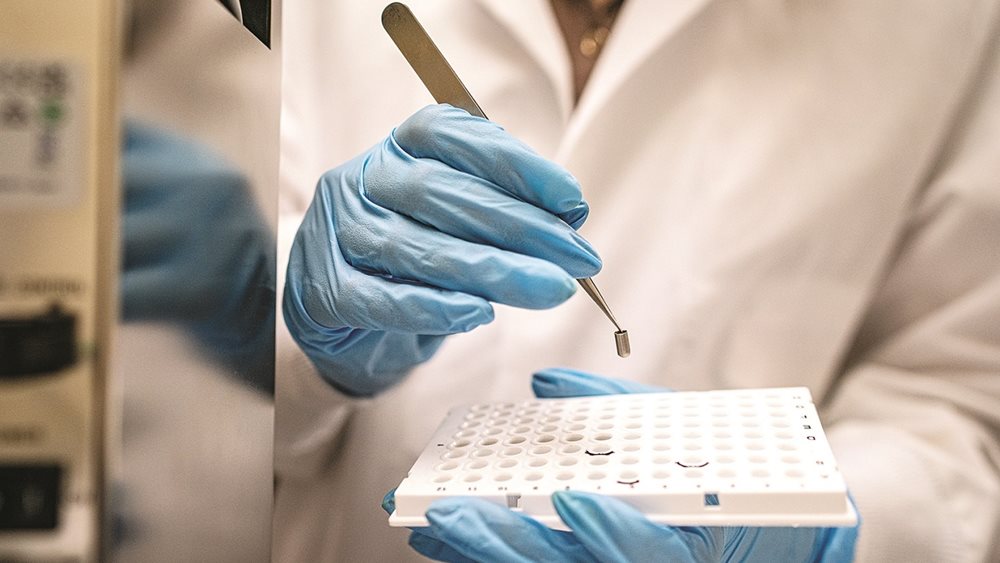 Οι επιπτώσεις των μικροπλαστικών στον οργανισμό μας