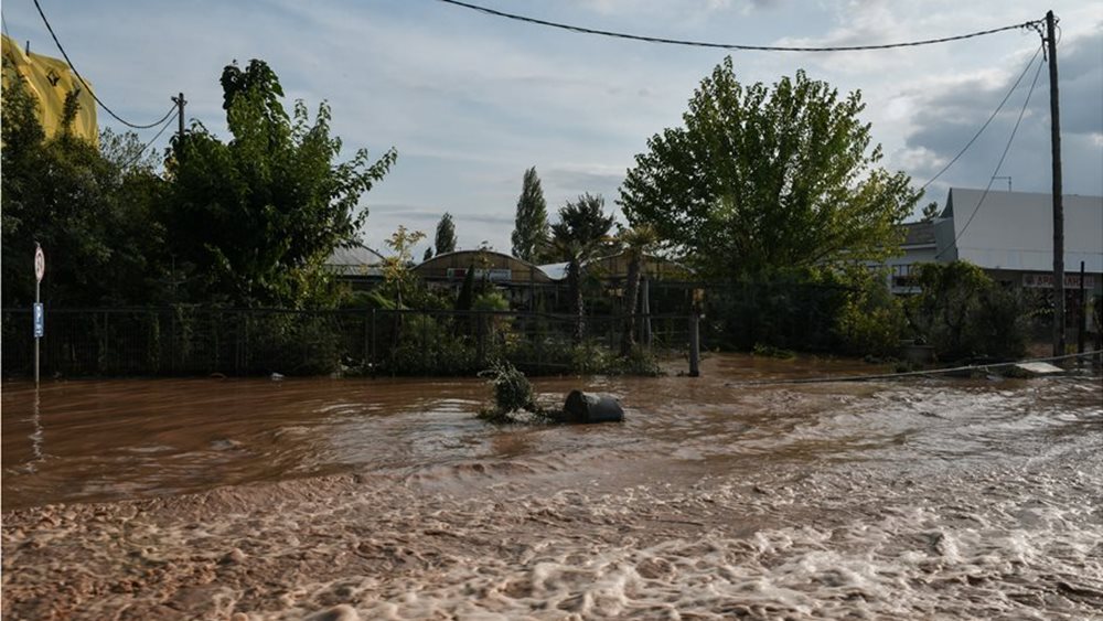 καρδίτσα