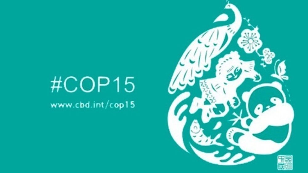 COP15: Πιέσεις στις πλούσιες χώρες για τη δημιουργία νέου ταμείου για τη βιοποικιλότητα