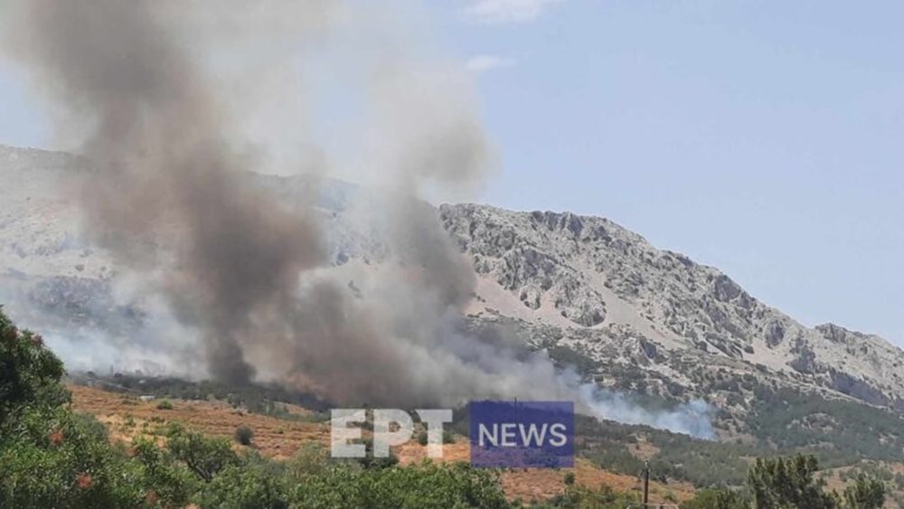 Χωρίς ενεργό μέτωπο η πυρκαγιά σε δασική έκταση στη Χίο