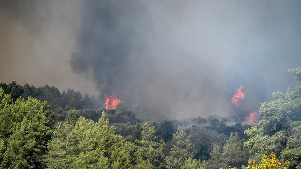 Βελτιωμένη εικόνα στην πυρκαγιά στο Γεράκι Ηλείας - Σοβαρά τραυματίστηκε στο πόδι πυροσβέστης (upd)