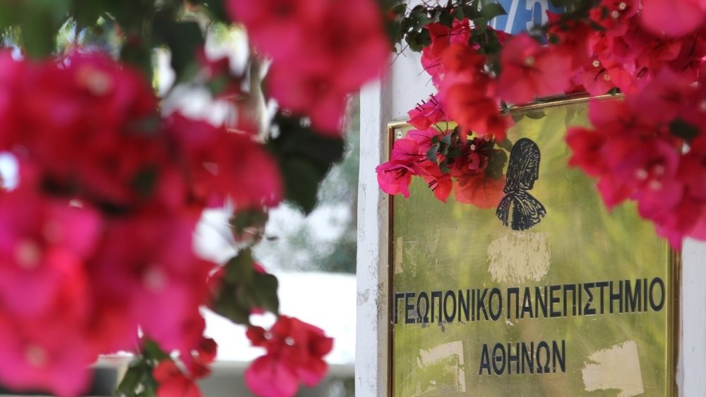 ΜΒΑ Food &amp; Agribusiness: Διοίκηση επιχειρήσεων και εξειδίκευση στον Αγροδιατροφικό Τομέα από το Γεωπονικό Πανεπιστήμιο Αθηνών