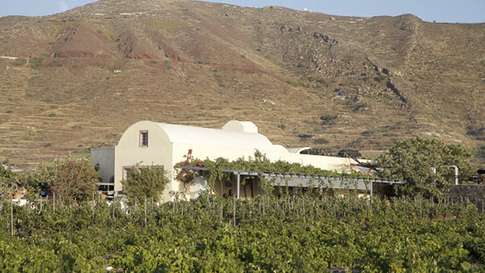 Θεσσαλονίκη: Ανοιχτές πόρτες σε 32 οινοποιεία της Βόρειας Ελλάδας στις 17-18 Μαΐου