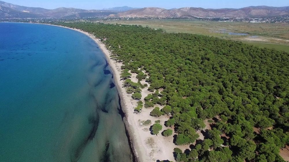 Εθνικό Πάρκο Σχινιά 19.06.2023