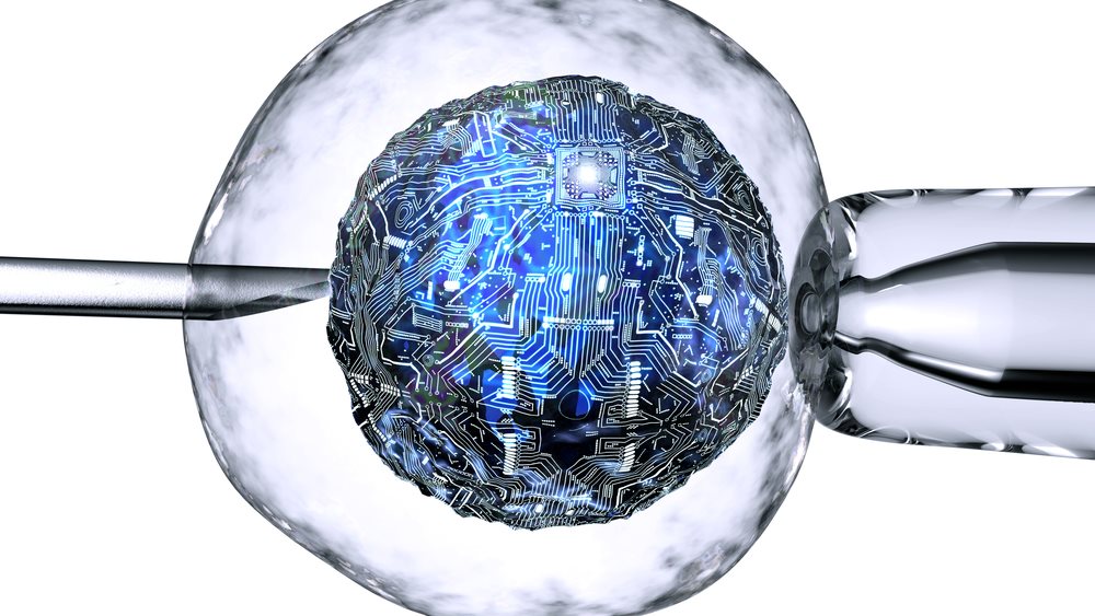 Οι γυναίκες δεν πρέπει να μένουν στο κρεβάτι μετά την εμβρυομεταφορά, σύμφωνα με νέα μελέτη