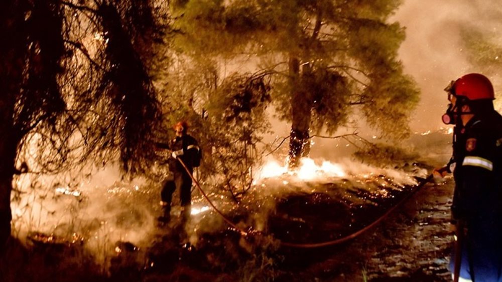 Χαρδαλιάς: Πάνω από 40 χιλιάδες στρέμματα έγιναν στάχτη στη φωτιά στα Γεράνεια Όρη