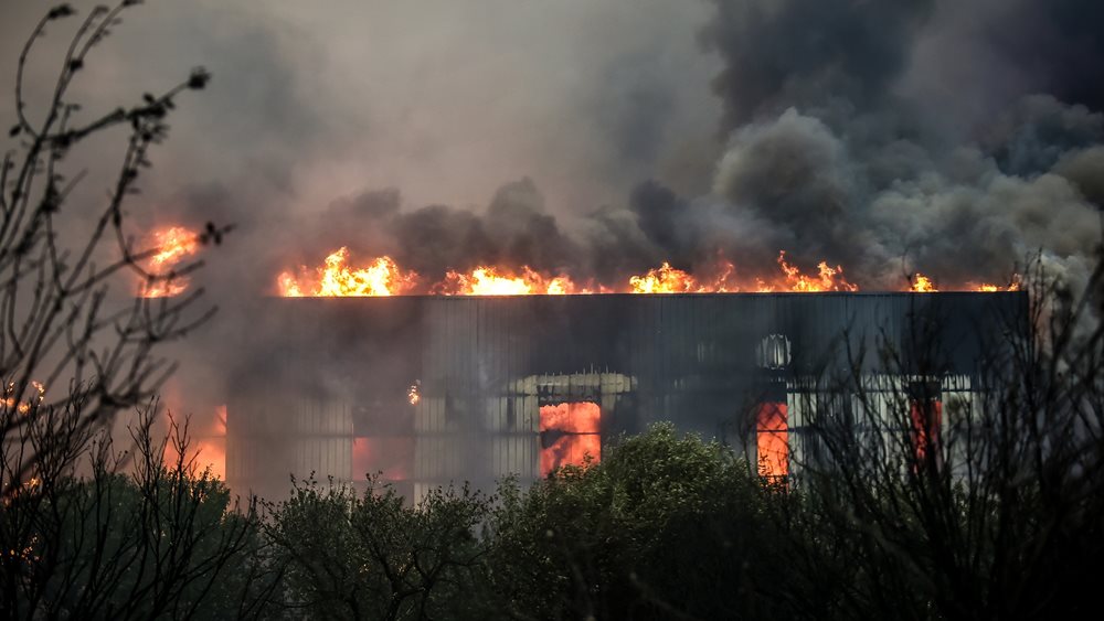 Φωτιές στη Μαγνησία: Ολονύχτια μάχη με τις φλόγες στο Βελεστίνο - Δύο νεκροί από την πύρινη λαίλαπα