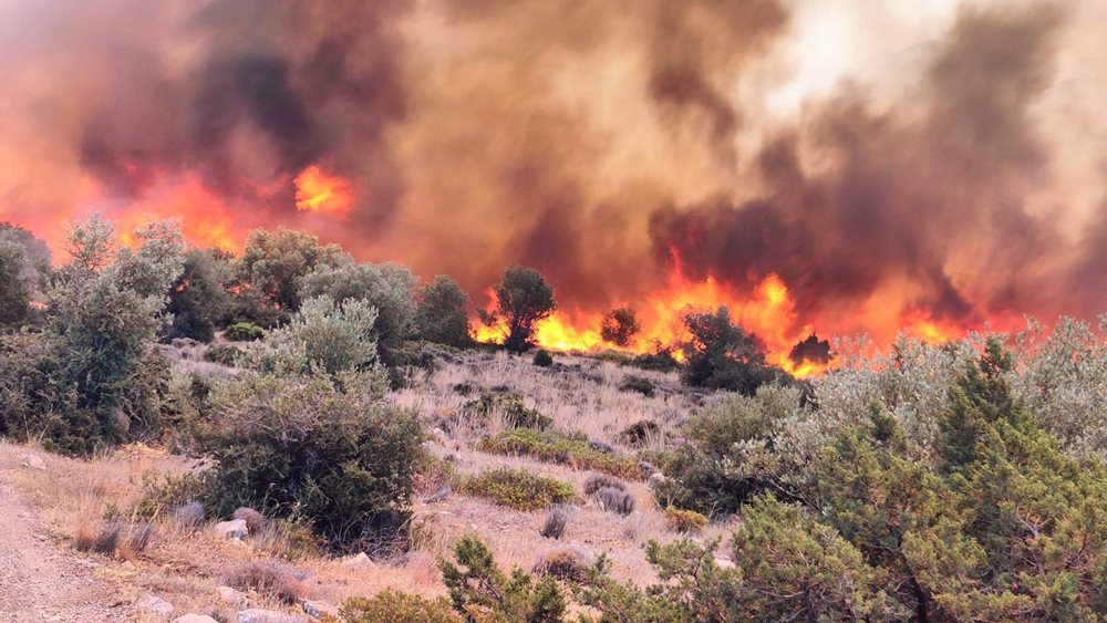 Σύλληψη 73χρονου για εμπρησμό από πρόθεση στη Βοιωτία