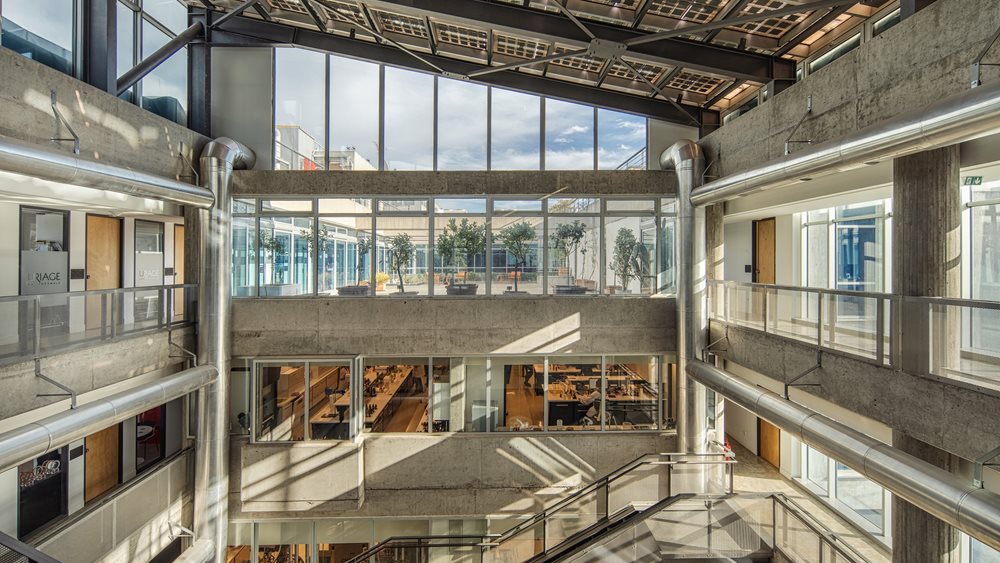 Η ΑPIVITA ανανεώνει την B Corp Πιστοποίησή της και παραμένει σταθερή στις δεσμεύσεις της!