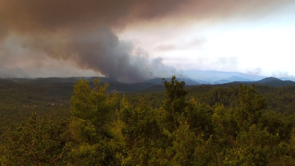 Επικεφαλής της WWF αποδομεί όσα ακούγονται για τις φωτιές στην Εύβοια και τις ανεμογεννήτριες