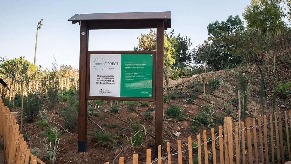 Το 1ο micro Forest στην καρδιά της Αθήνας από τη L&#39;Oréal Hellas, είναι γεγονός