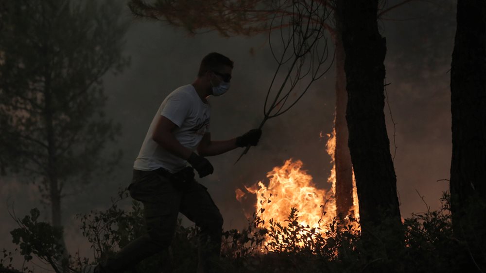 Τατόϊ φωτιά