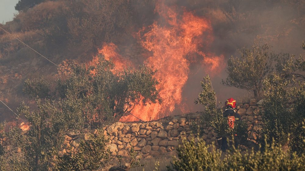 Φωτιά στην Ιεράπετρα: Σε επιφυλακή η Πυροσβεστική υπό τον φόβο αναζωπυρώσεων - Σε κατάσταση έκτακτης ανάγκης οι πληγείσες περιοχές