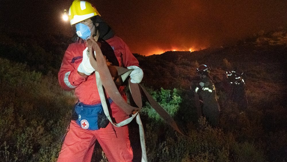 Tαμείο Aνακούφισης για τους πυρόπληκτους της Ελλάδας ιδρύει η Ιερά Αρχιεπισκοπή Αμερικής