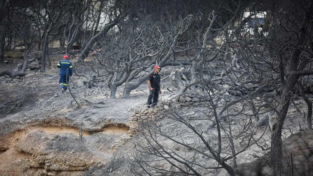 Πυροσβεστική: 25 οι αγνοούμενοι από τις πυρκαγιές