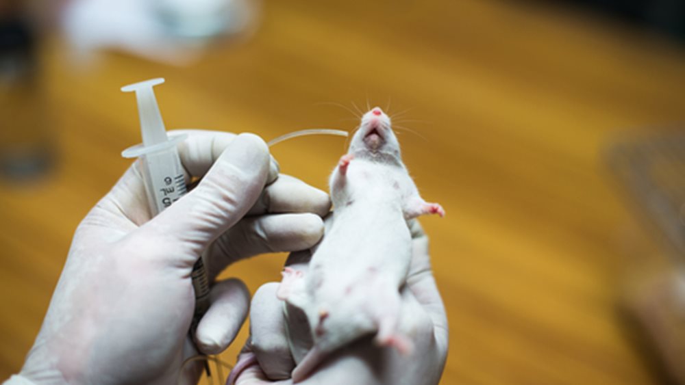 Πειραματικό φάρμακο διεύρυνε τη ζωή ποντικιών κατά 25% - Ίσως μπορεί να κάνει το ίδιο και σε ανθρώπους