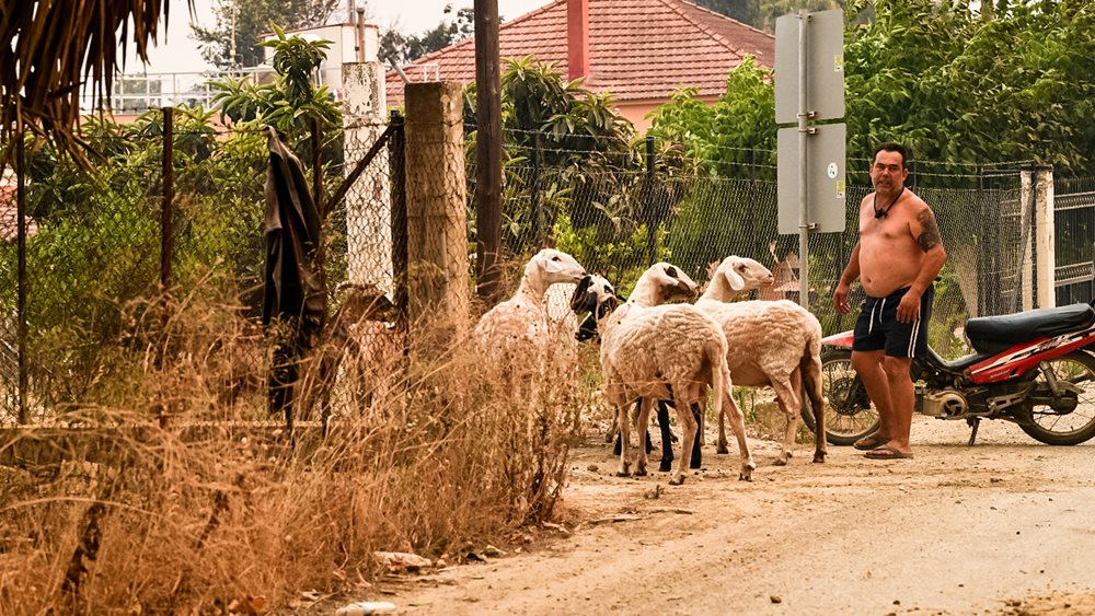 Σε κέντρα φιλοξενίας οι κάτοικοι που απομακρύνθηκαν από τα σπίτια τους λόγω της πυρκαγιάς στην Ηλεία