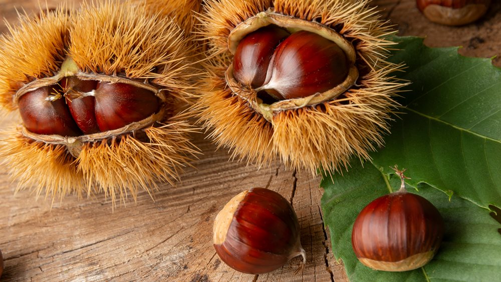 Ξέρετε ότι τα κάστανα είναι ένα χειμερινό superfood;