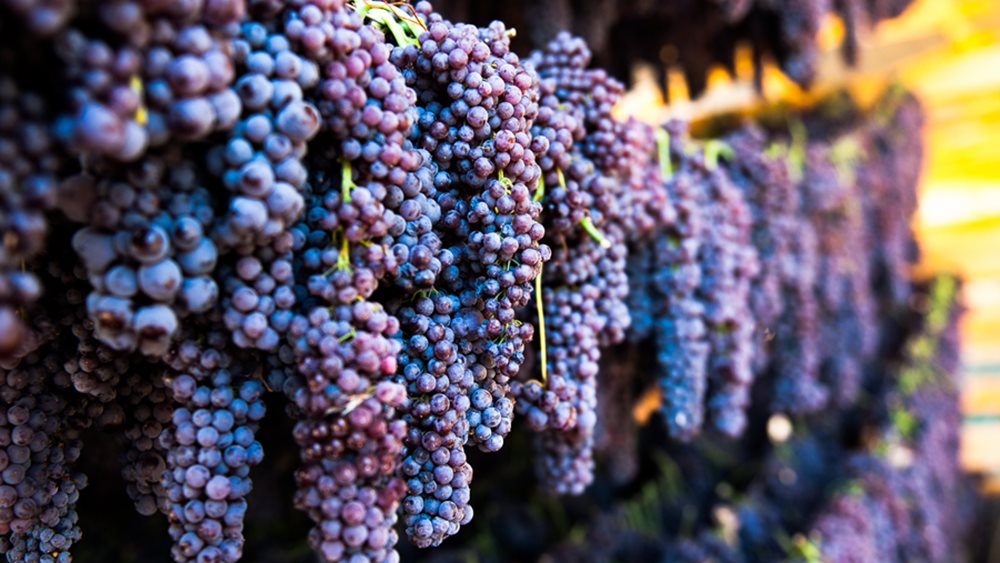 Τα berries και οι Τούρκοι εξαφανίζουν την ελληνική σταφίδα