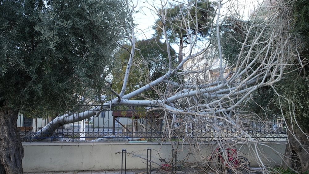 Αλεξανδρούπολη: Δεκάδες αιτήσεις από επιχειρήσεις και κατοικίες που επλήγησαν από την κακοκαιρία