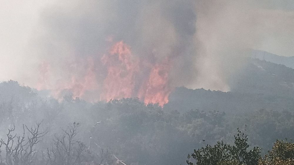 Ανεξέλεγκτη πυρκαγιά στον Θεολόγο: Καίγεται πευκοδάσος